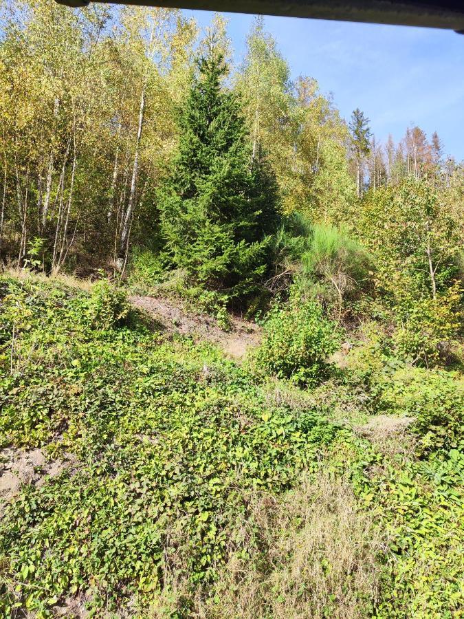 Villa Wohlfuehloase Eifelsteig Simmerath Esterno foto