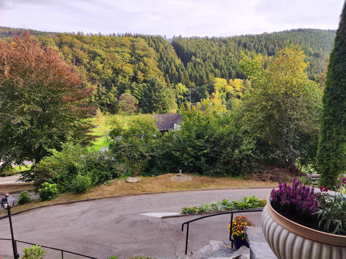 Villa Wohlfuehloase Eifelsteig Simmerath Esterno foto