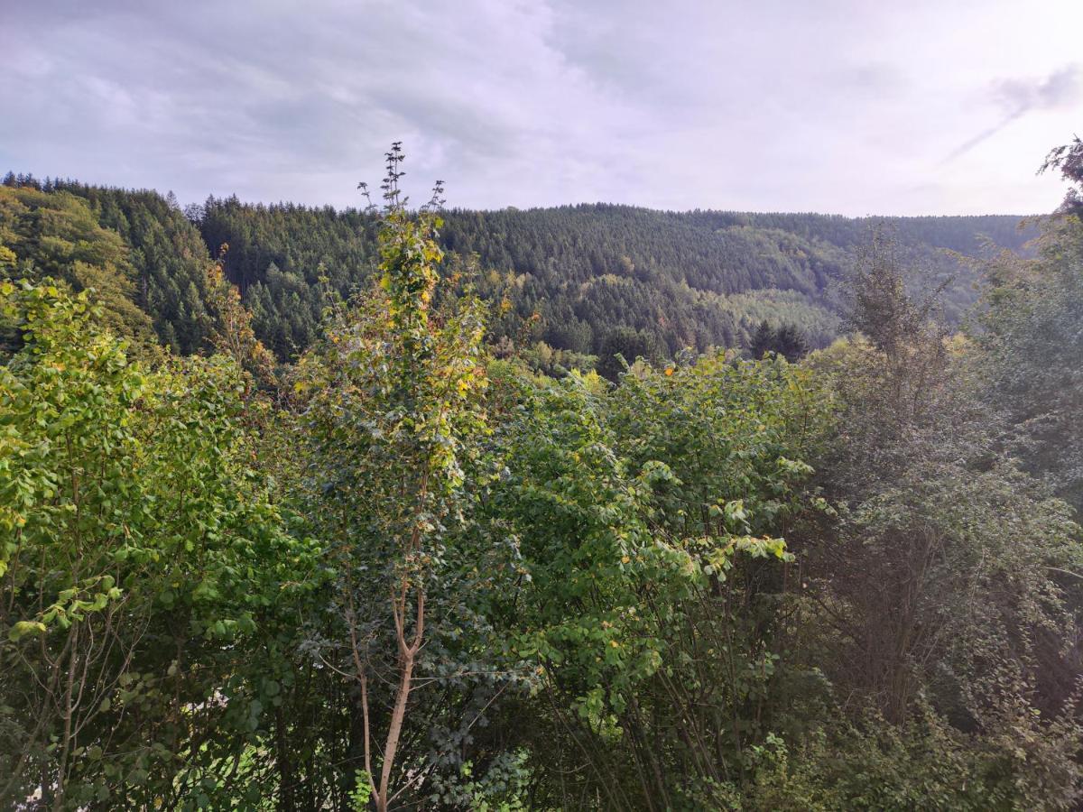 Villa Wohlfuehloase Eifelsteig Simmerath Esterno foto